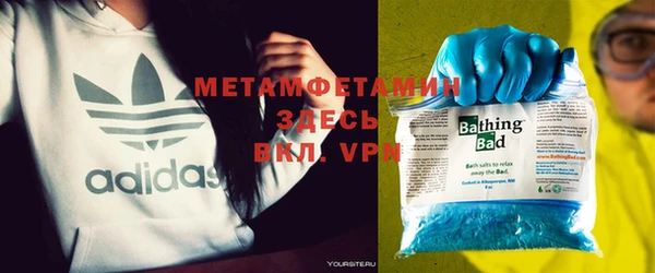 индика Белокуриха