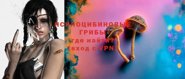 гидра Богданович