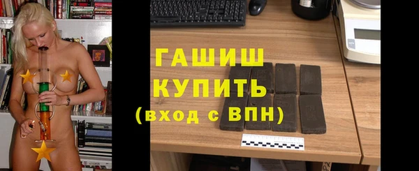 гидра Богданович