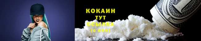 тгк Богородск