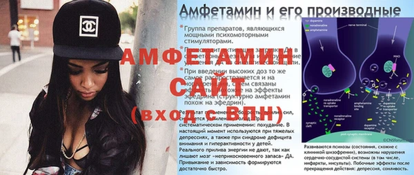 гидра Богданович