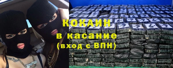 гидра Богданович