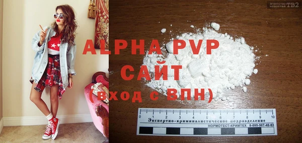 гидра Богданович