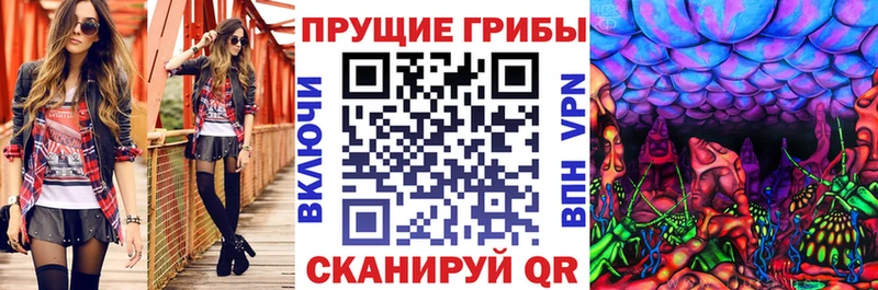 blacksprut зеркало  Наро-Фоминск  Псилоцибиновые грибы GOLDEN TEACHER 